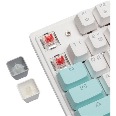 Bloody S510R Mechanical Switch RGB Gaming Keyboard - Icy White - EasySkins, Inc. 